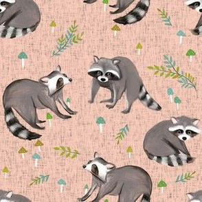 raccoon print-blush