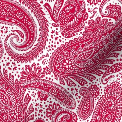 Small Paisley Positivity - white and turkey red