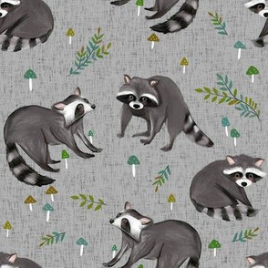 raccoon print-grey