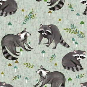 raccoon print-sage