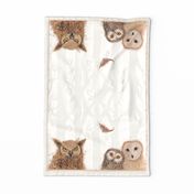  Owls tea towel