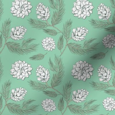 Mint green and white pinecones - vector line art contour drawing