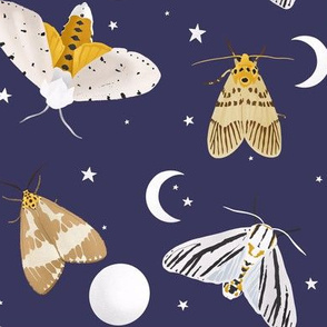 Moths and moons