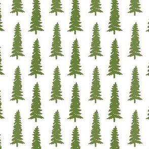pinetree forest hand drawn