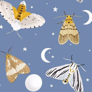 Moths and moons