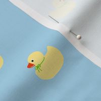 new_ducks
