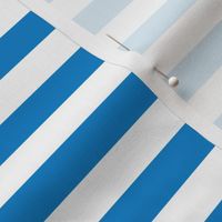 True Blue Awning Stripe Pattern Horizontal in White