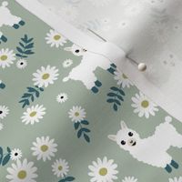 Cute boho alpaca garden and daisy flowers sweet nursery spring summer llama pattern girls neutral green mint mist white