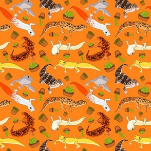 Leopard Geckos and Succulents on orange