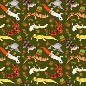 Leopard Geckos and Succulents on Dark Green