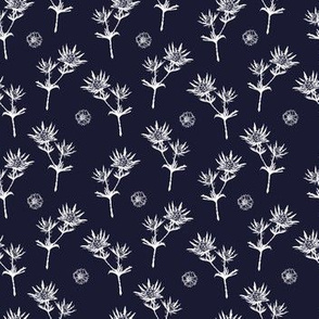 White thistle on dark blue