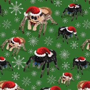 Holiday Spiders on Green