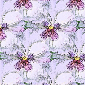 Pale lavender pastel pansy