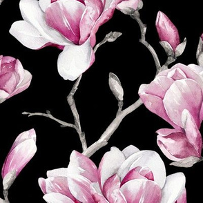 Magnolias / Black Background / Large Scale