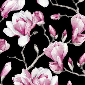 Magnolias / Black Background / Small Scale