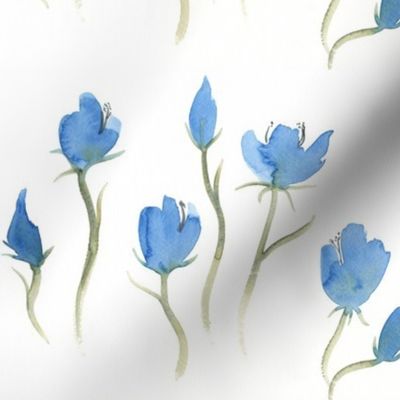 Blue Fairy Flowers