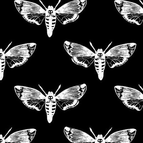 Death's Head Hawkmoth White on Black 