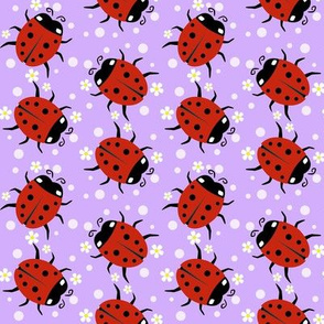 Ladybugs on Purple - Large