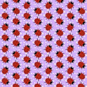 Ladybugs on Purple - Small
