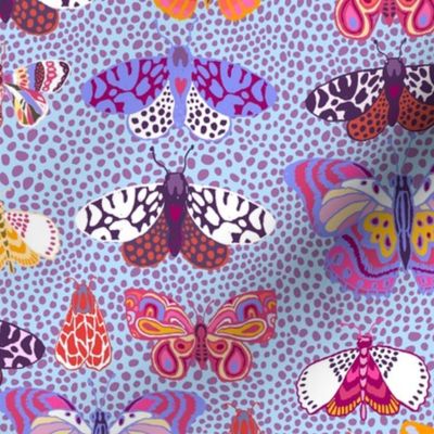 Patterned Moths and Butterfl