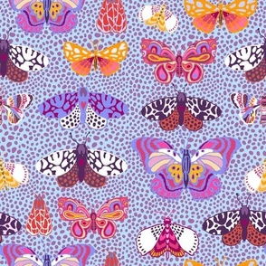 Patterned Moths and Butterfl