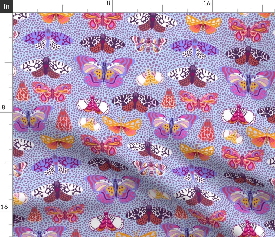Patterned Moths and Butterfl