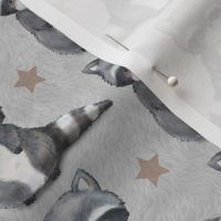 Cute Raccoon & Stars