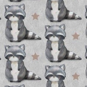 Cute Raccoon & Stars
