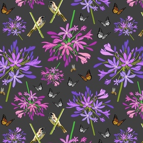 Agapanthus Enchantment (butterflies, birds + bees) - Charcoal grey, medium