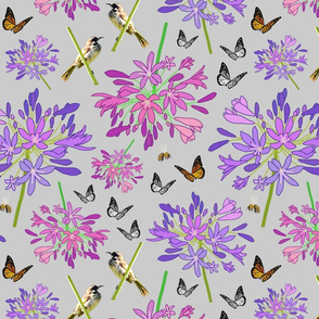 Agapanthus Enchantment (butterflies, birds + bees) - Silver grey, medium