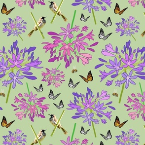 Agapanthus Enchantment (butterflies, birds + bees) - sage green, medium