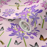 Agapanthus Enchantment (butterflies, birds + bees) - pastel pink, medium