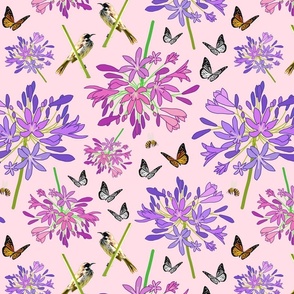 Agapanthus Enchantment (butterflies, birds + bees) - pastel pink, medium