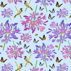 Agapanthus Enchantment (butterflies, birds + bees) - pastel blue, medium