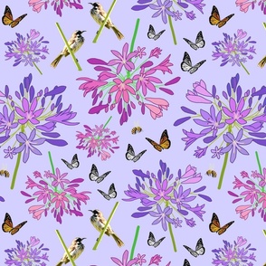 Agapanthus Enchantment (butterflies, birds + bees) - pastel lavender, medium