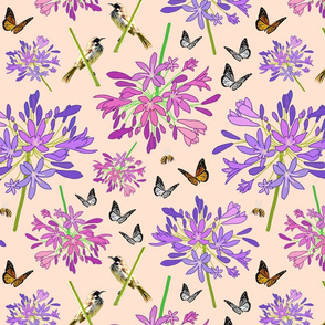 Agapanthus Enchantment (butterflies, birds + bees) - pastel Coral, medium