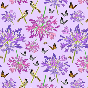 Agapanthus Enchantment (butterflies, birds + bees) - pastel lilac, medium