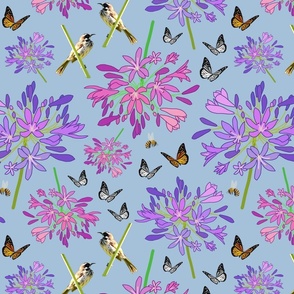 Agapanthus Enchantment (butterflies, birds + bees) - steel blue, medium