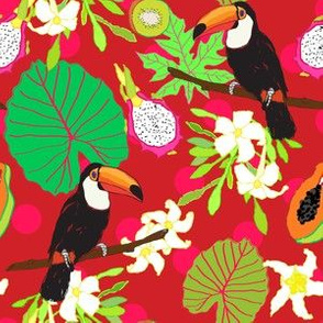 Polka Dot Toucans in Hot Red + Neon Pink