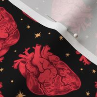 Anatomical Hearts and Stars Scatter 
