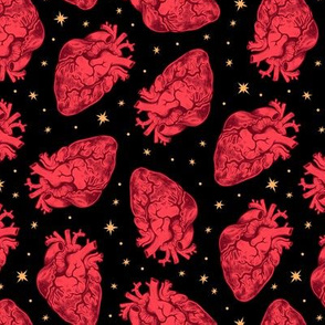 Anatomical Hearts and Stars Scatter 