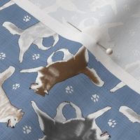 Tiny Trotting Siberian Husky and paw prints - faux denim