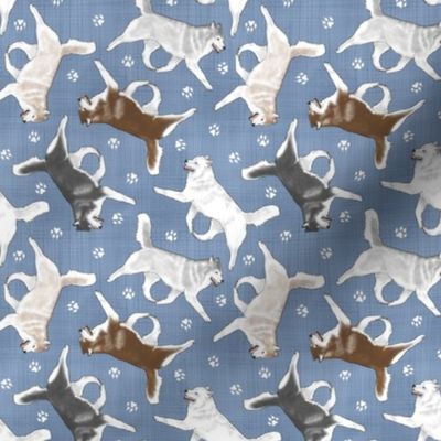 Tiny Trotting Siberian Husky and paw prints - faux denim