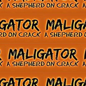 MALIGATOR