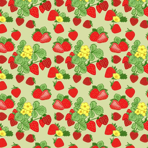 Strawberry Picnic