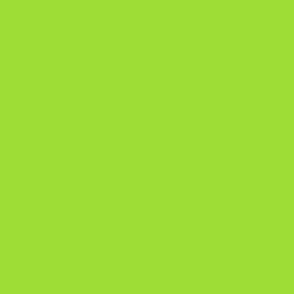 Lime Green Solid 