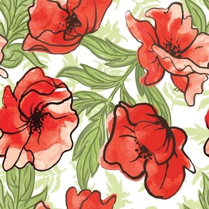 Poppy flowers watercolor in bright red