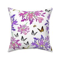 Agapanthus Enchantment (butterflies, birds + bees) - white, large