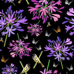 Agapanthus Enchantment (butterflies, birds + bees) - black, large
