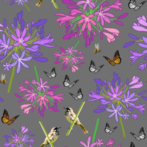Agapanthus Enchantment (butterflies, birds + bees) - grey, large